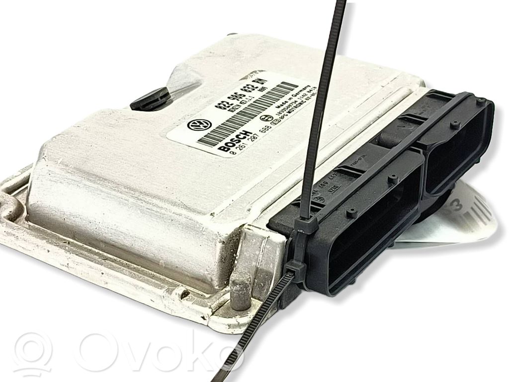 Volkswagen Phaeton Engine control unit/module 