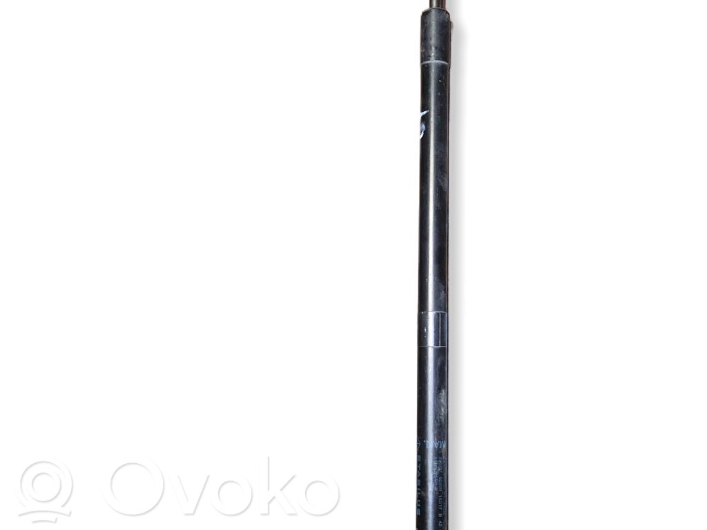 Dodge Durango III Tailgate/trunk strut/damper 