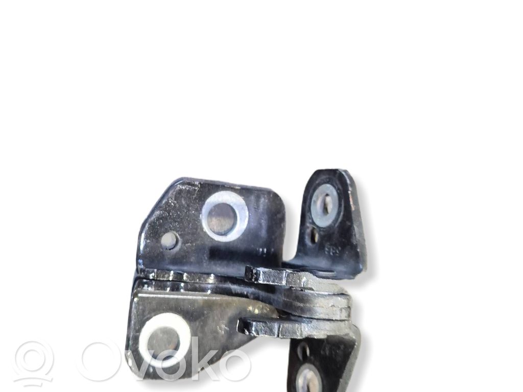 Front door hinge set   661AC