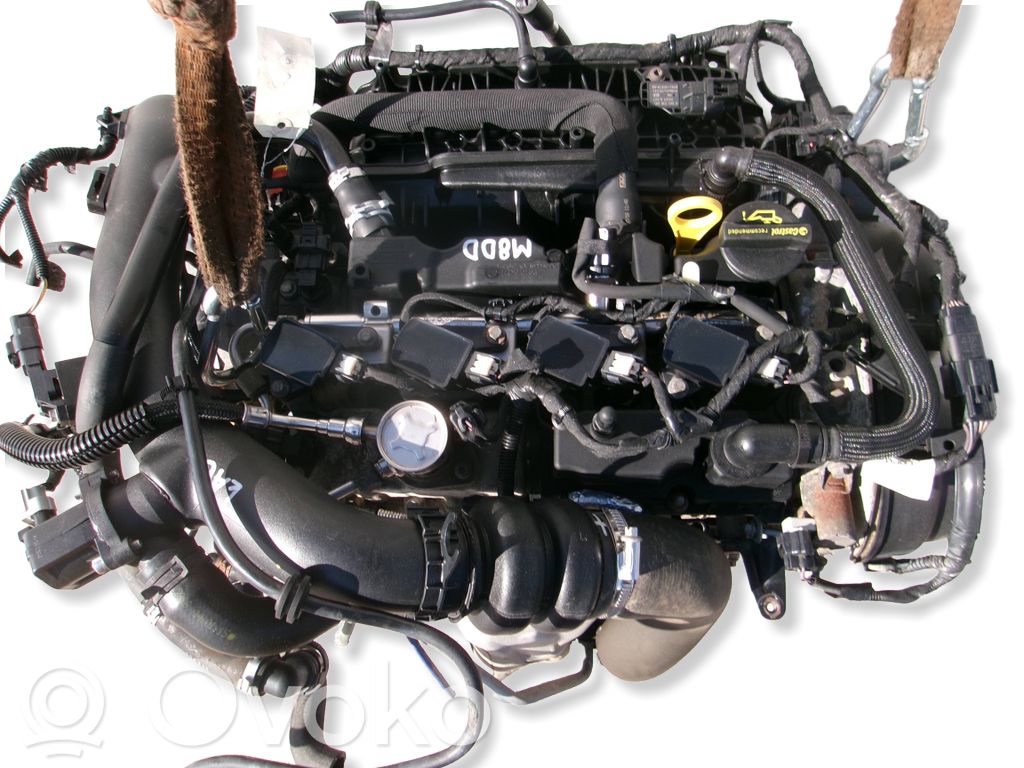 Ford Focus Engine 