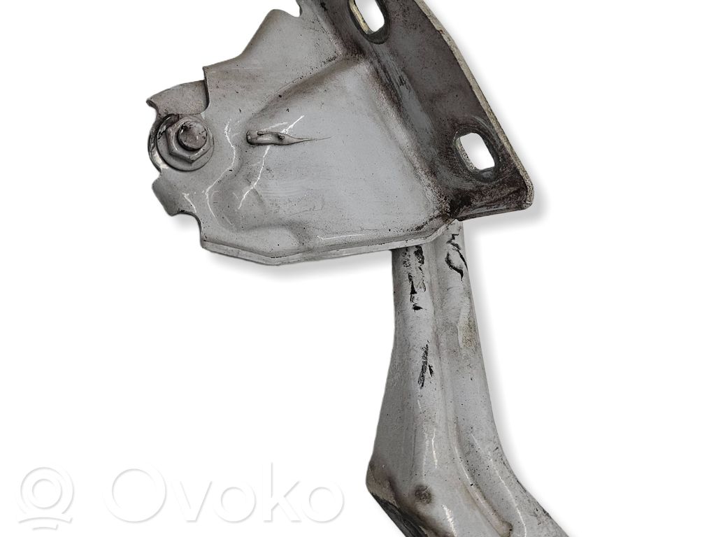 Fiat Ducato Vyris (-iai) variklio dangčio 