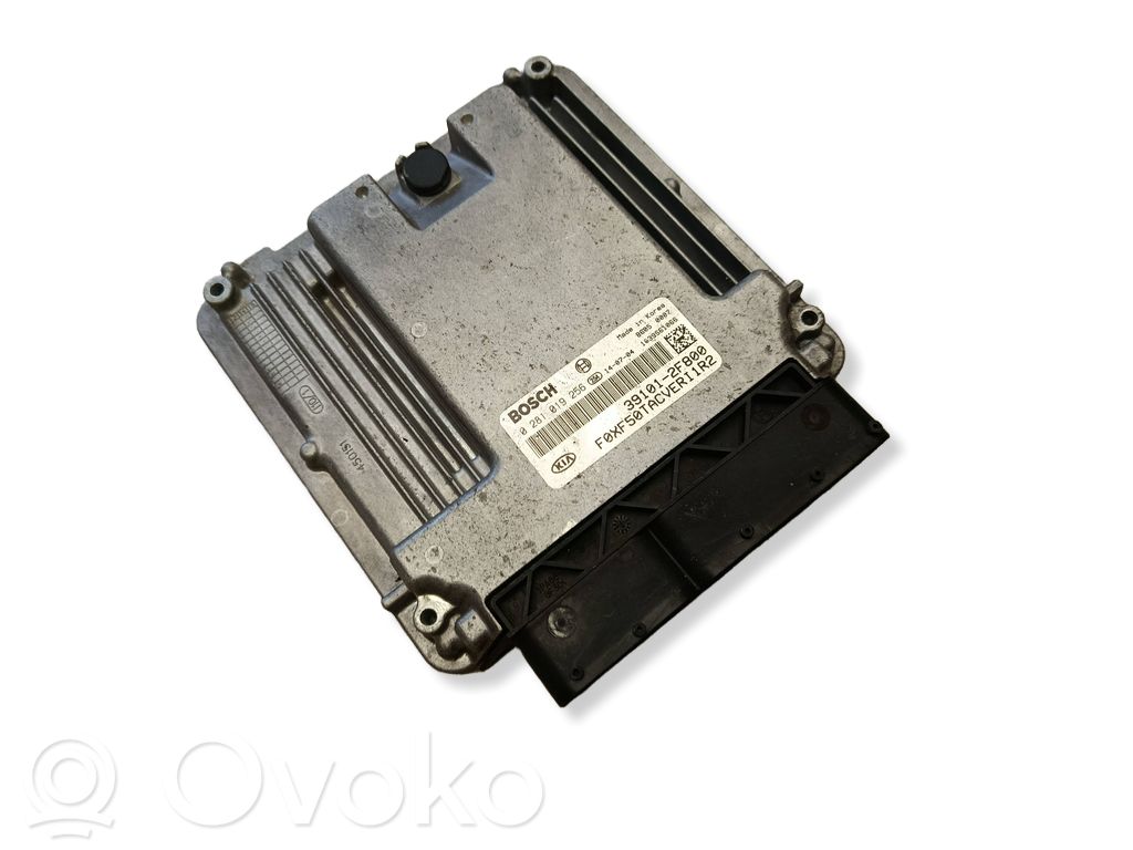 KIA Sorento Engine control unit/module 