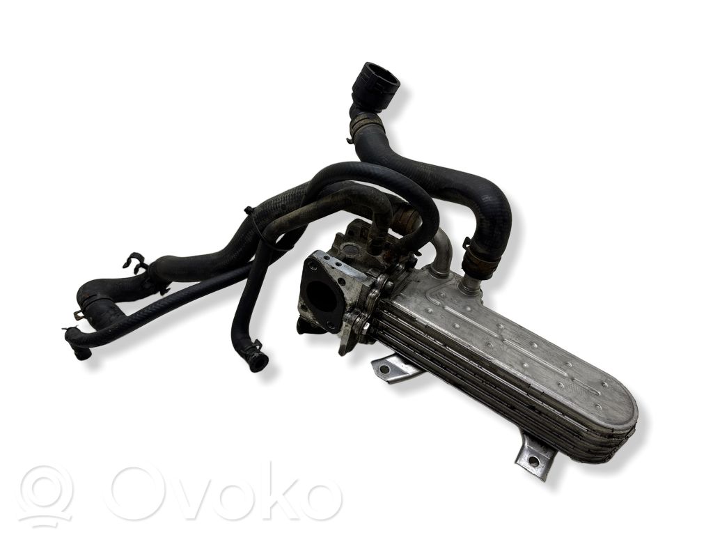 Volkswagen Golf IV Refrigerador de la válvula EGR 