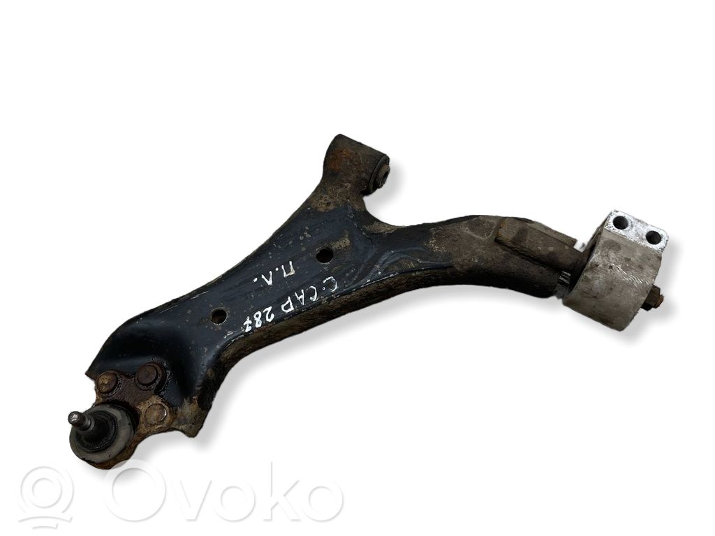Dakša   96819161