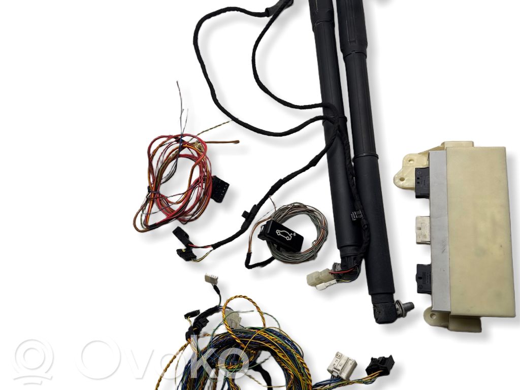 BMW X5 E70 Tailgate/trunk control unit/module 