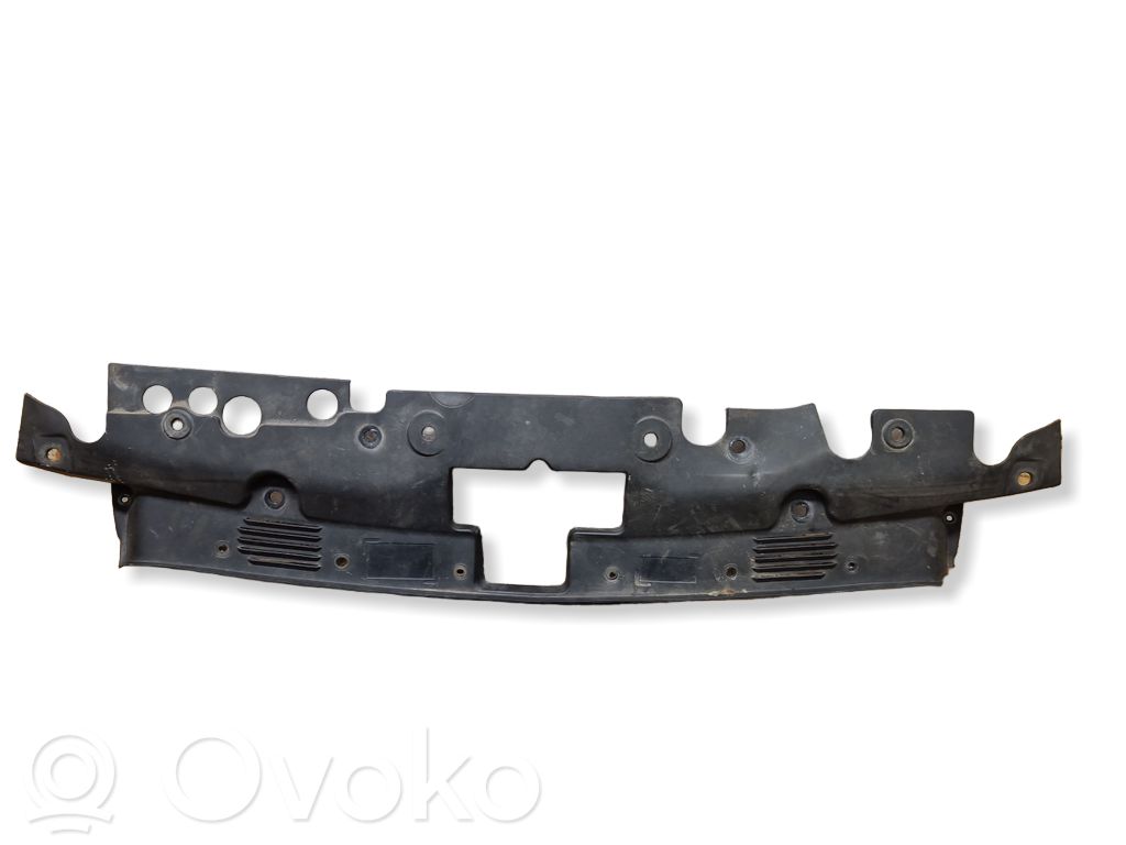 Chevrolet Aveo Radiator trim 