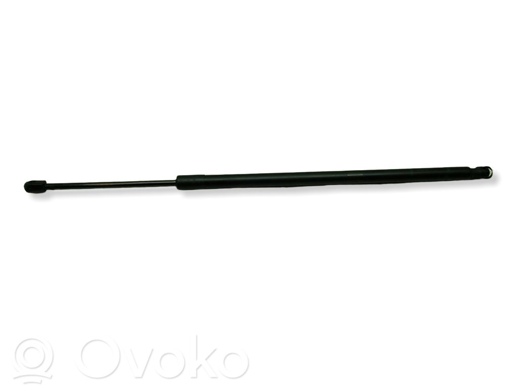 Chrysler Pacifica Tailgate/trunk strut/damper 