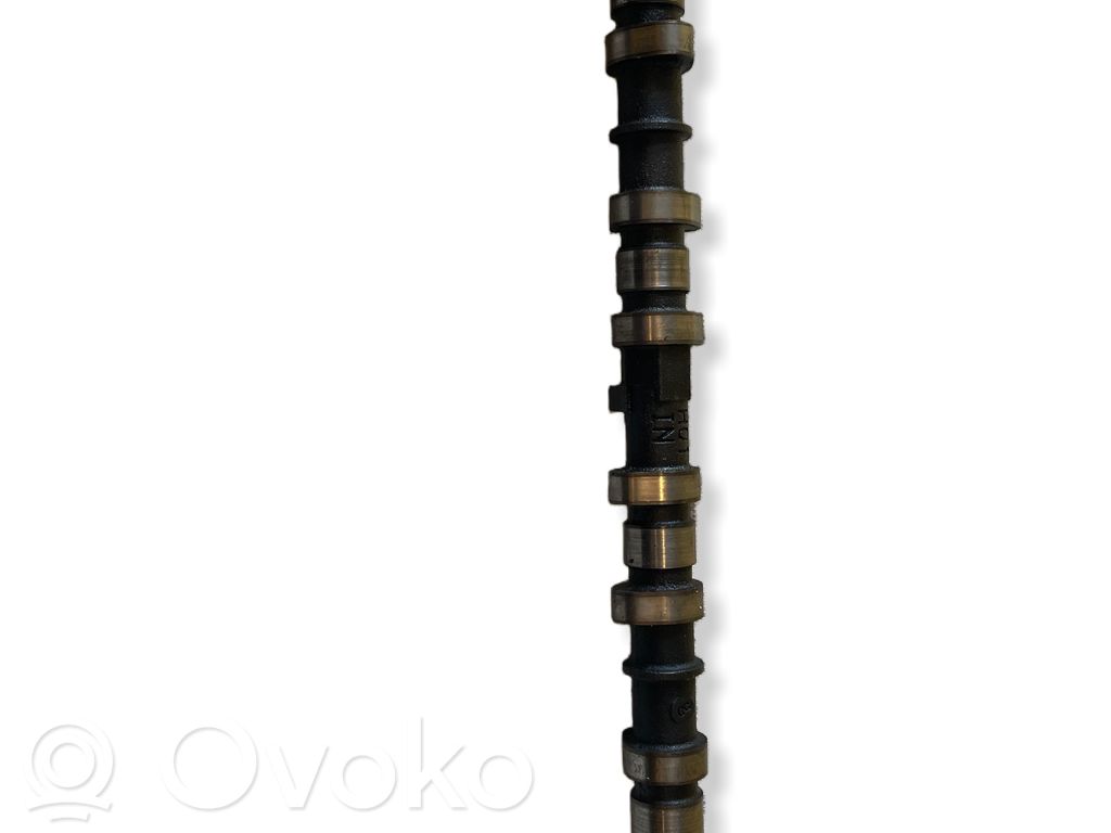 Árbol de levas   H01IN