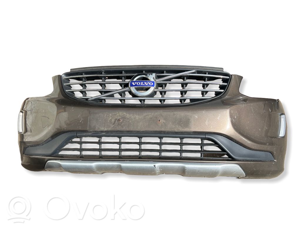 Etupuskuri   31323765