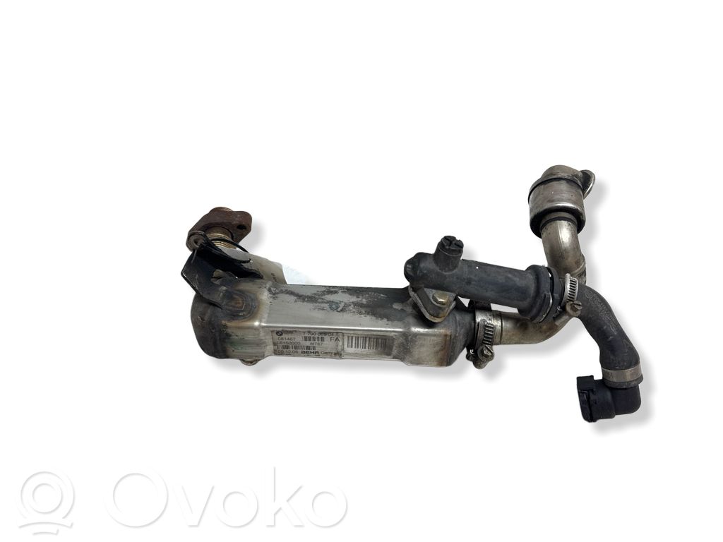 BMW 3 E90 E91 EGR aušintuvas 
