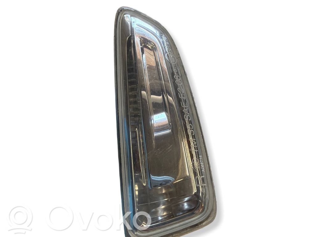 Seitenblinker   E1012724