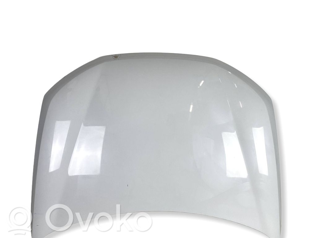 Engine bonnet/hood