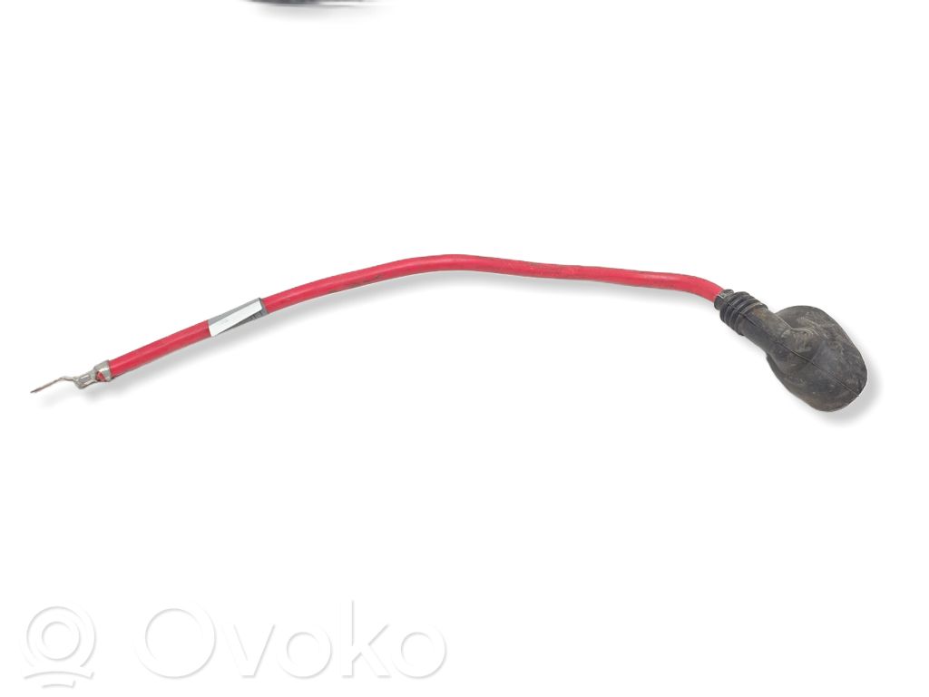 Cable positivo (batería)   6910542