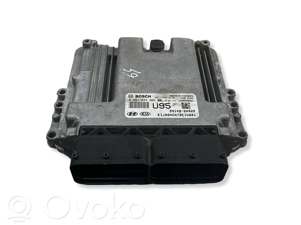 Engine control unit/module   391402A925,0281033002