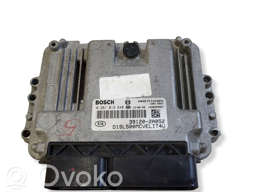 Engine control unit/module   391202A052,0281019640