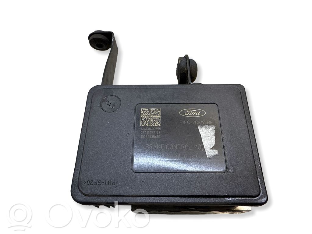 ABS Pump   F1FC2C219BF,10091501533