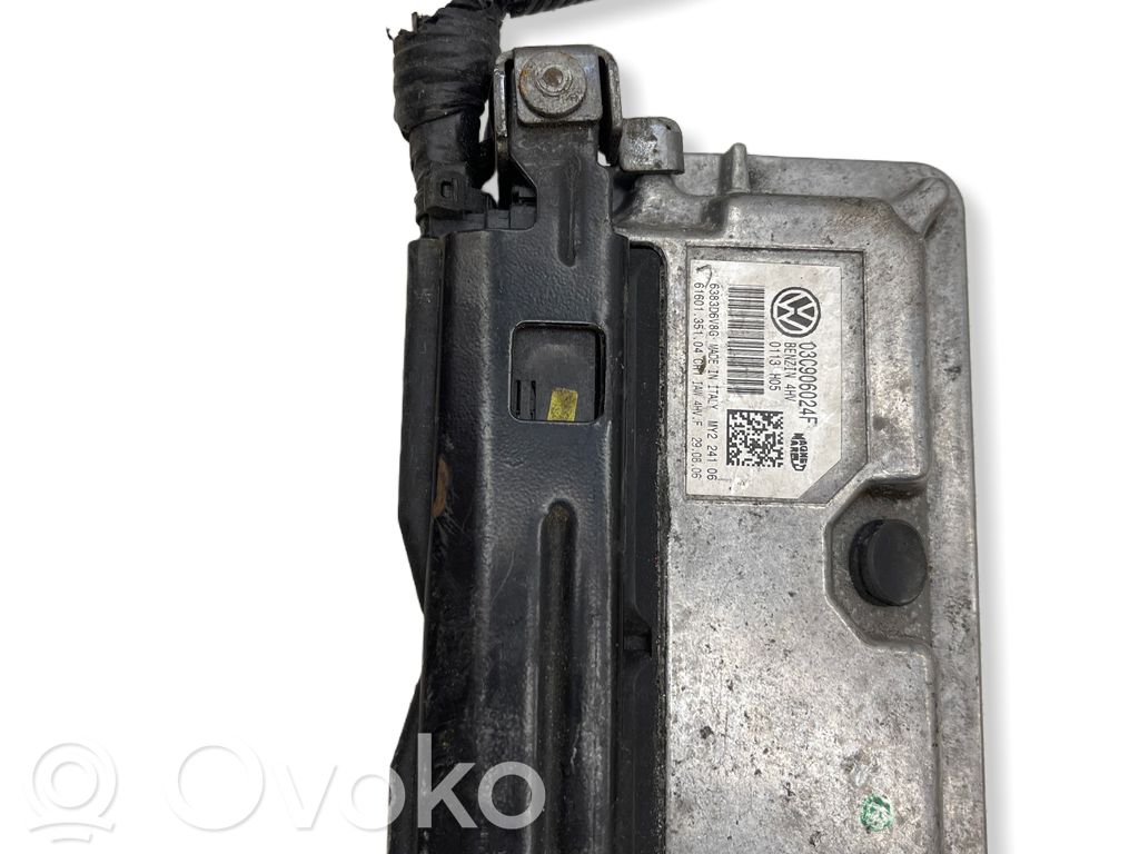 Seat Ibiza III (6L) Engine control unit/module 