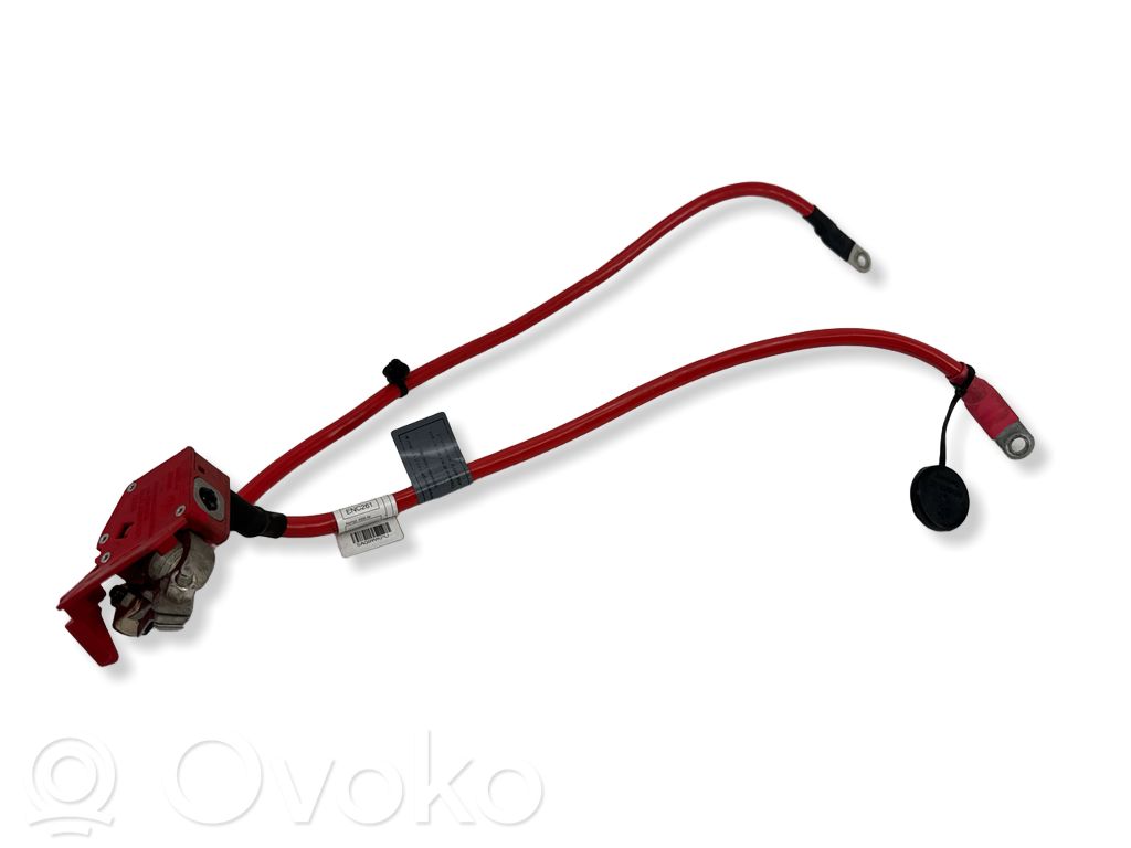 BMW 1 F20 F21 Pliusinis laidas (akumuliatoriaus) 