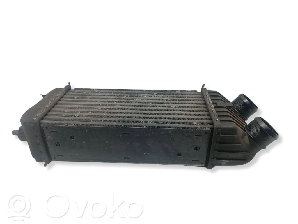 Peugeot 207 Intercooler radiator 