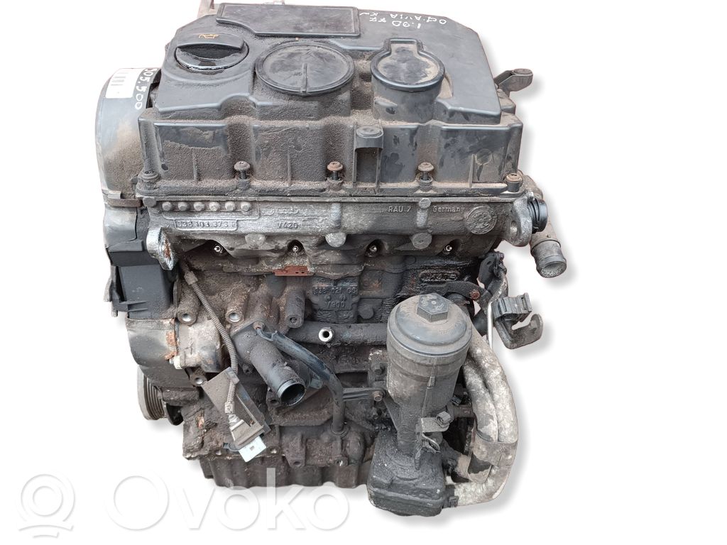 Skoda Octavia Mk2 (1Z) Engine 