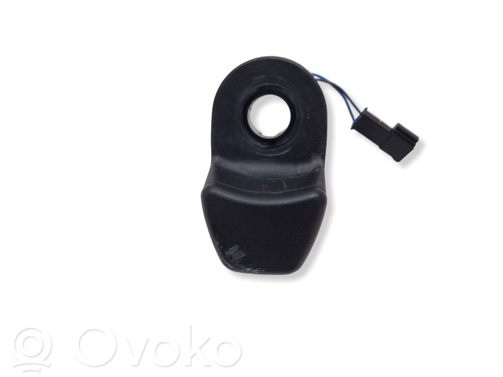 Tailgate glass/window release handle   9200673