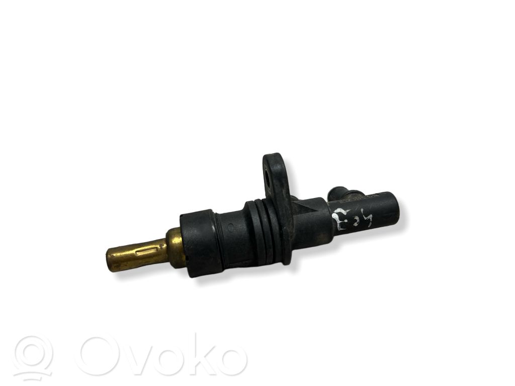 Termostatas   1730682