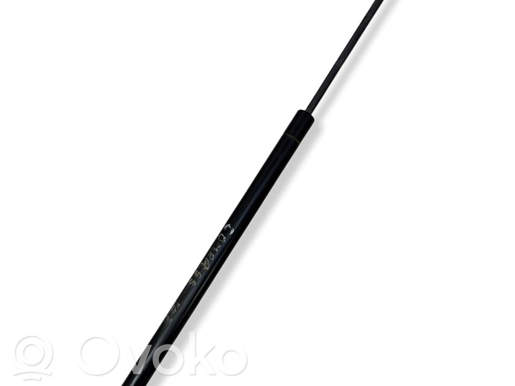 Jeep Compass Tailgate/trunk strut/damper 