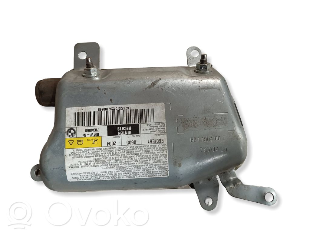 Front door airbag   601190400