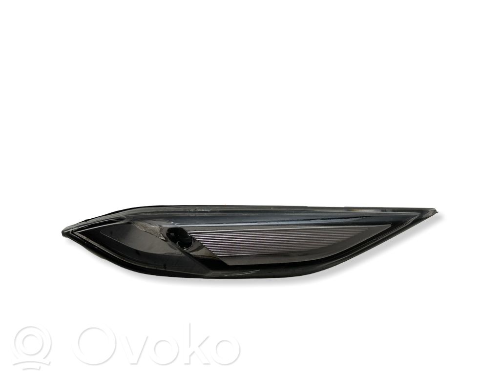Porsche Cayenne (92A) Seitenblinker 