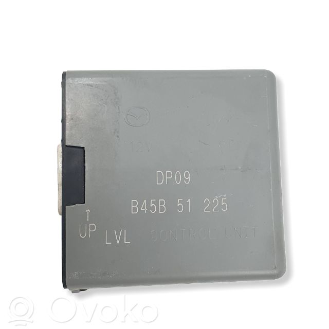 Módulo de luz LCM   B45B51225,DP09