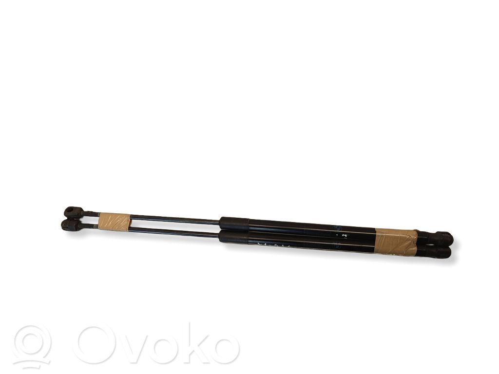 BMW X1 E84 Tailgate/trunk strut/damper 