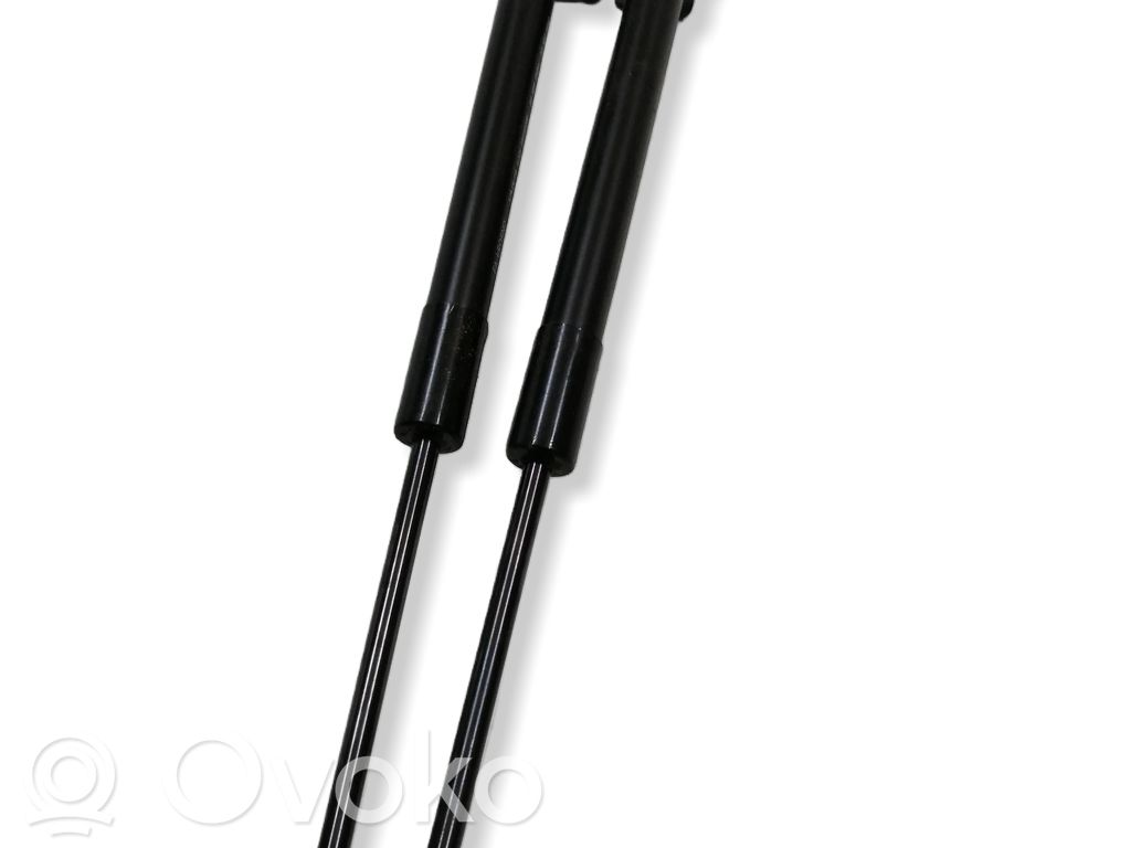 Citroen e-C3 Tailgate/trunk strut/damper 