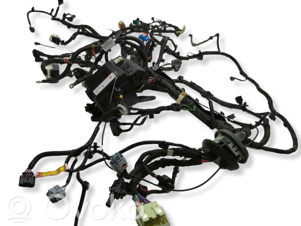 Citroen e-C3 Engine installation wiring loom 