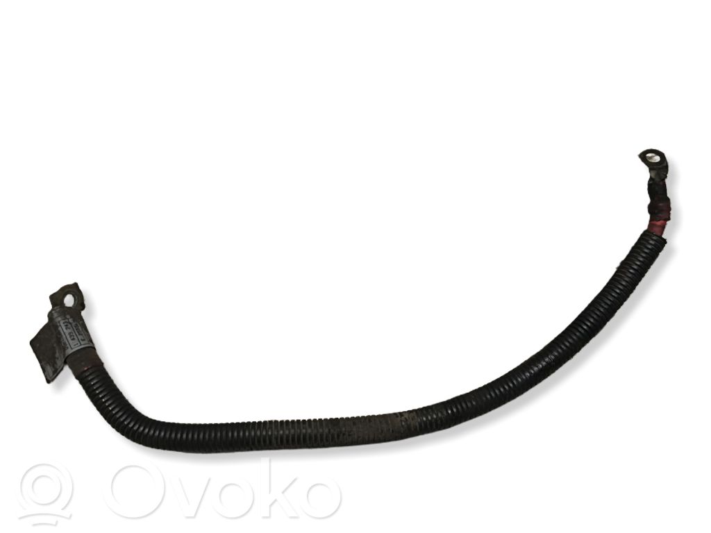 Plusa vads (akumulatora)   1439743,E2555