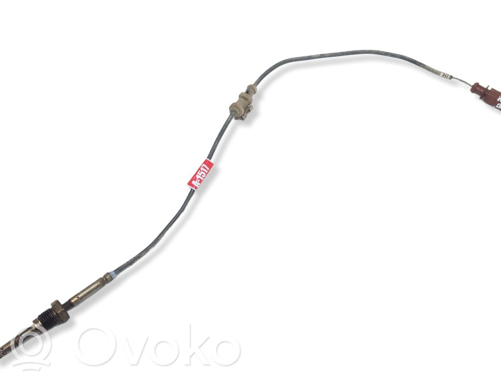 Volkswagen PASSAT B7 Išmetamųjų dujų temperatūros daviklis 