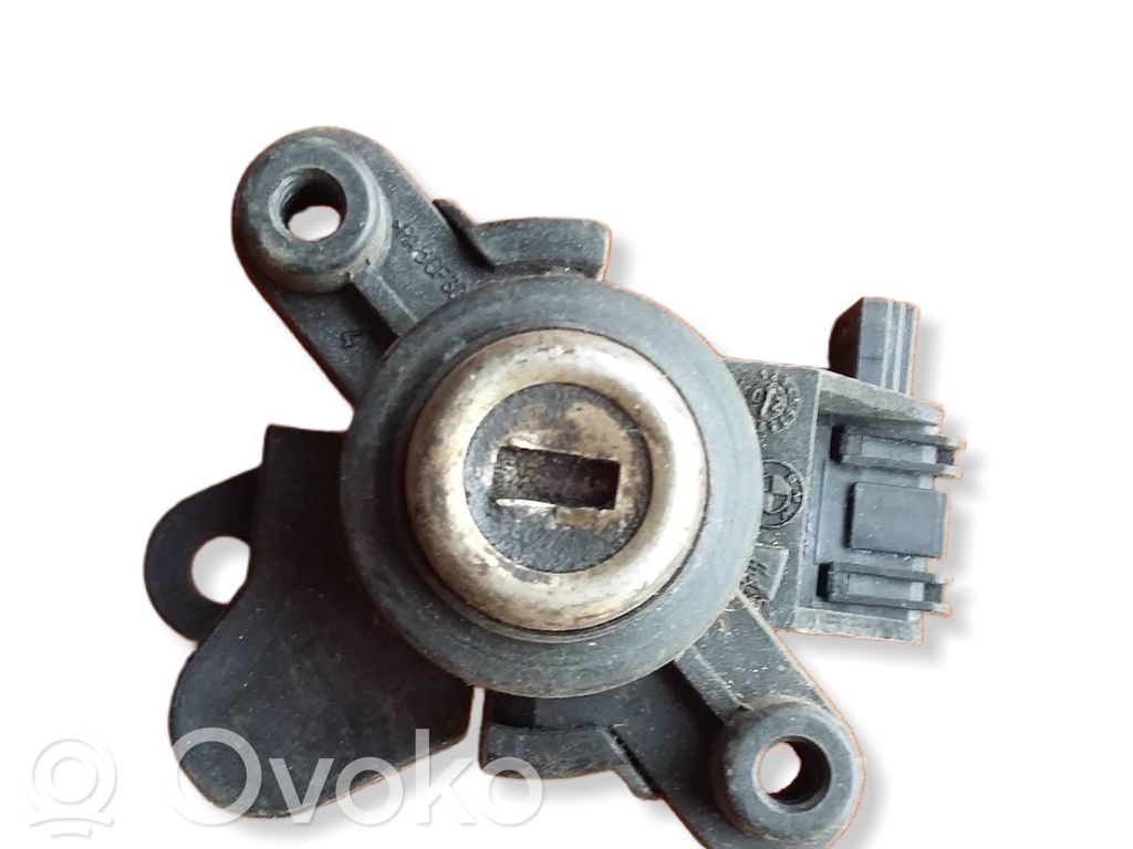 Tailgate exterior lock   8196052
