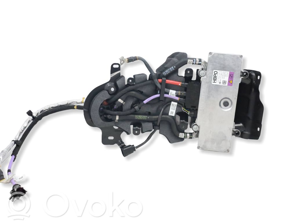 BMW X7 G07 Other control units/modules 