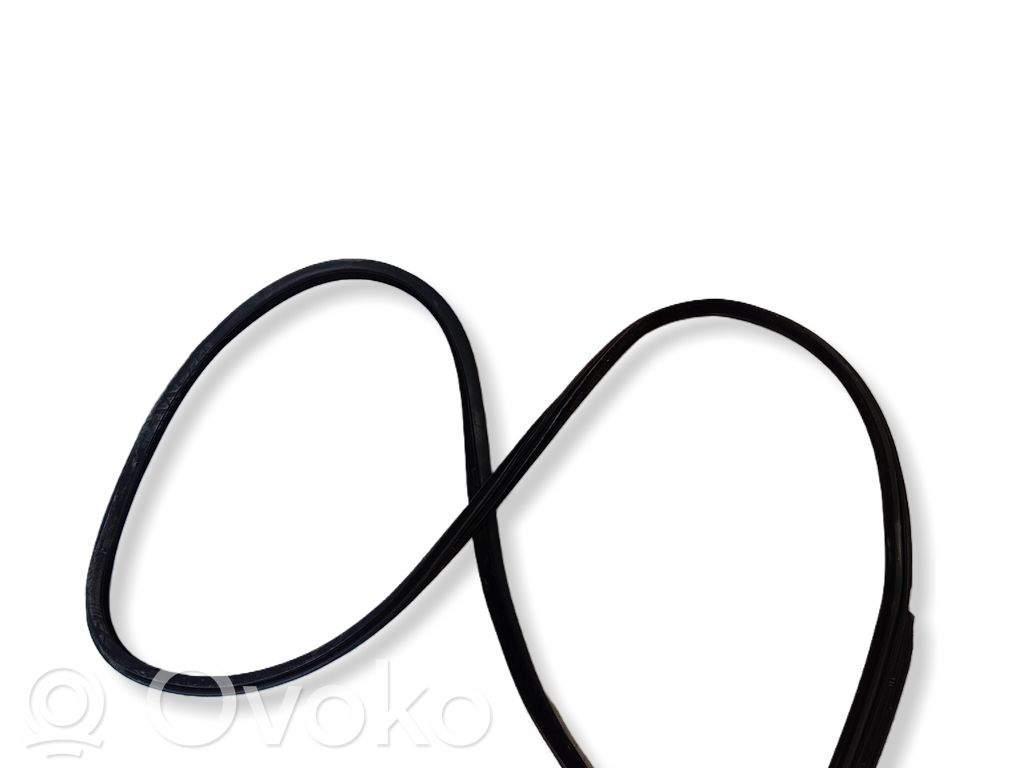 BMW 3 E92 E93 Front door rubber seal 