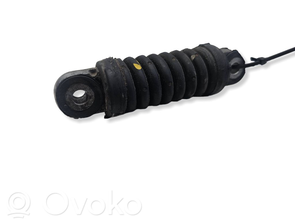 Audi Q7 4L Întinzător curea generator/alternator 