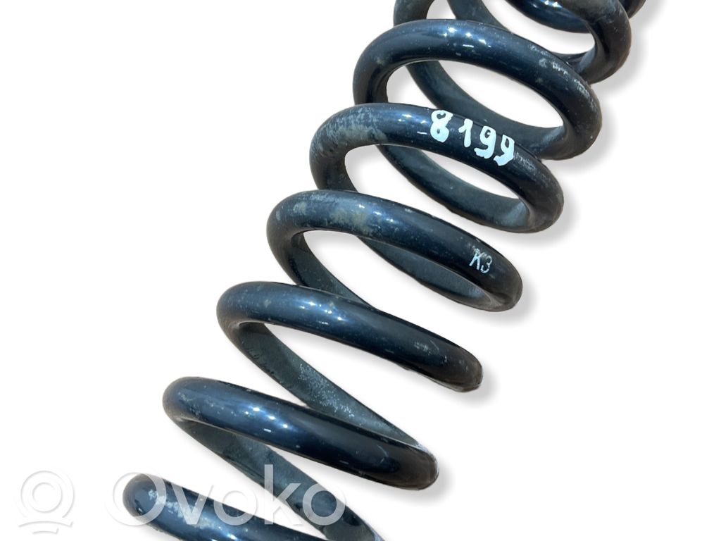 Rear coil spring