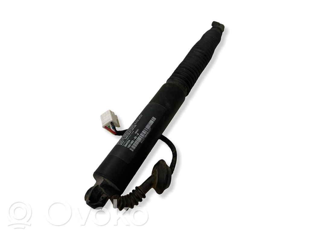 Tesla Model 3 Tailgate/trunk strut/damper 