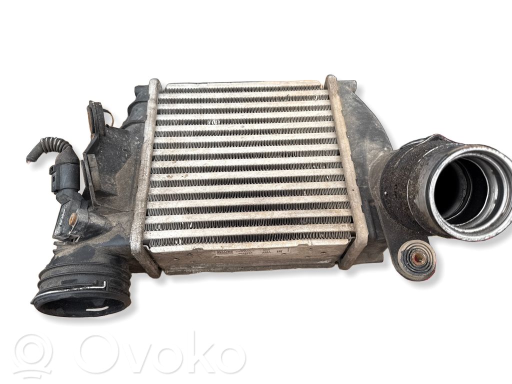 Volkswagen Bora Intercooler radiator 