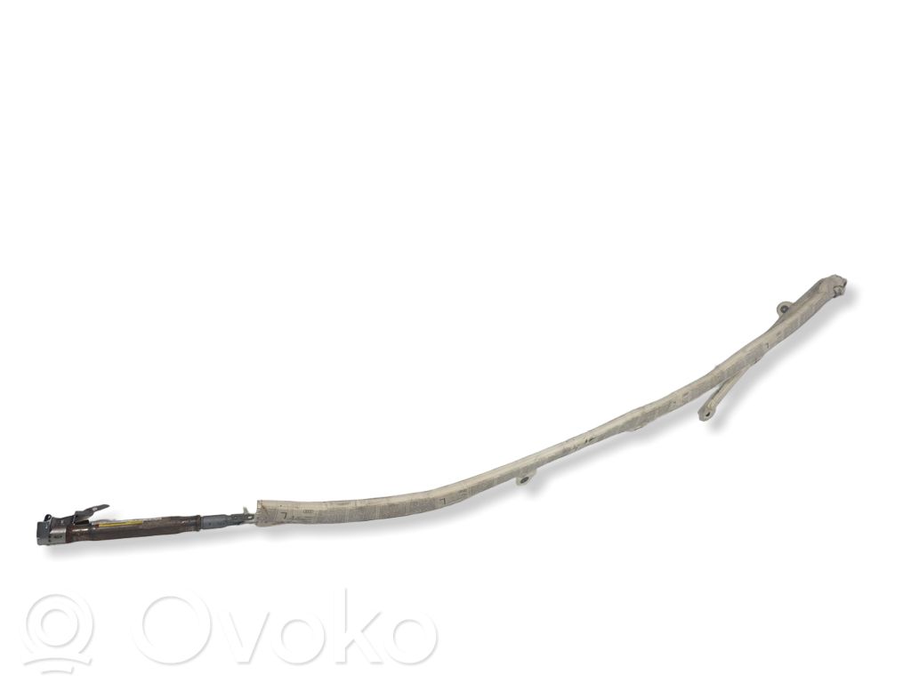 Audi A8 S8 D3 4E Jumta gaisa spilvens 