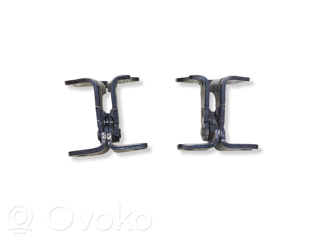 Tesla Model 3 Front door hinge set 