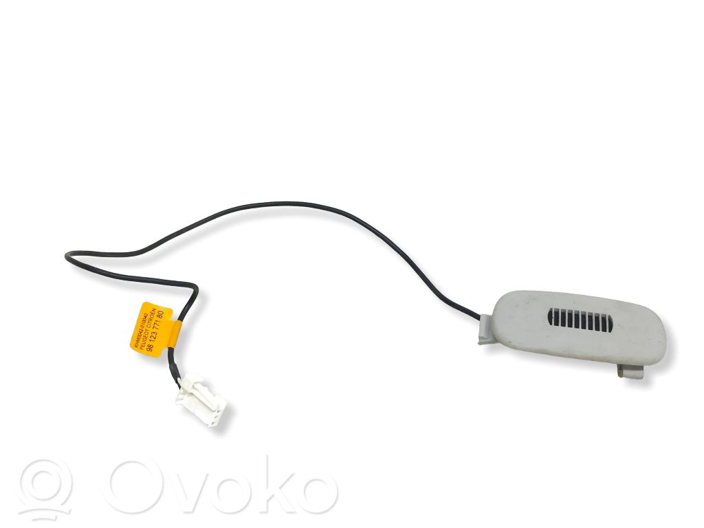 Citroen Jumpy Microfon (bluetooth/telefon) 
