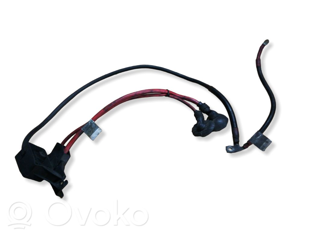 Cable positivo (batería)   6910543,2702041706