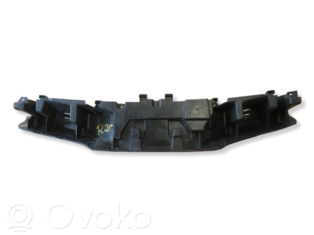 Atrapa chłodnicy / Grill   809603707R