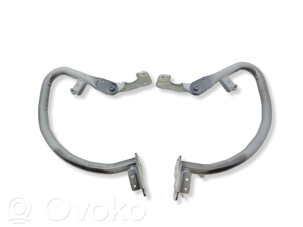 Tailgate/trunk/boot hinge   31349170