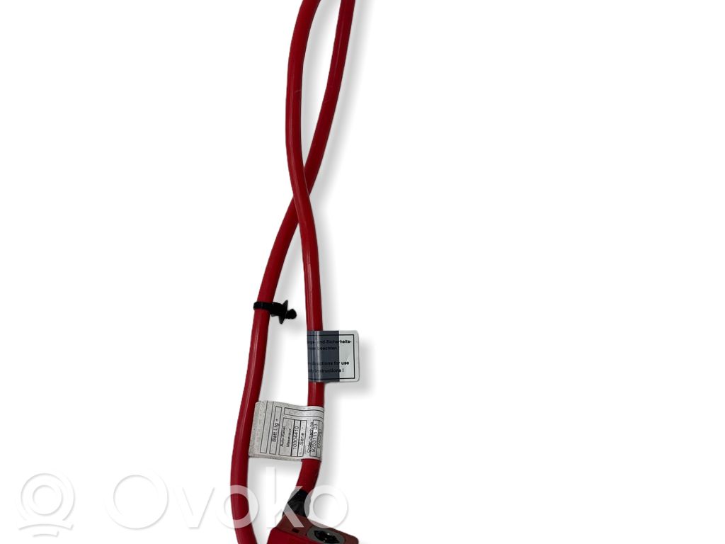 BMW 1 F20 F21 Pliusinis laidas (akumuliatoriaus) 