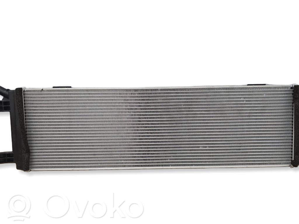 Renault Austral Optional radiator 